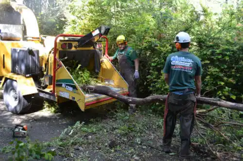 tree services Reddick